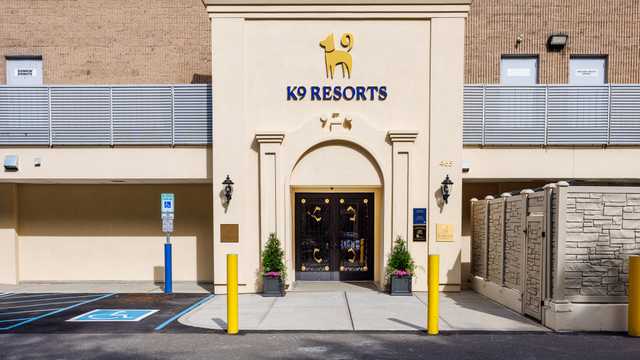 Customer Service Representative (CSR)