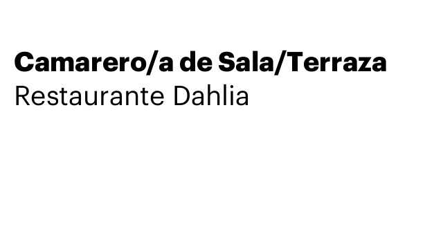 Camarero/a de Sala/Terraza