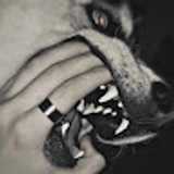 Nawid B. avatar icon