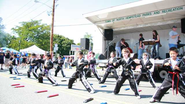 Taekwondo Master Instructor