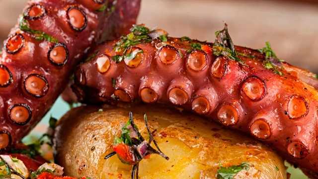 Chef for Portuguese charcoal grill restaurant