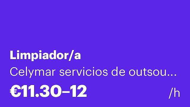 Limpiador/a