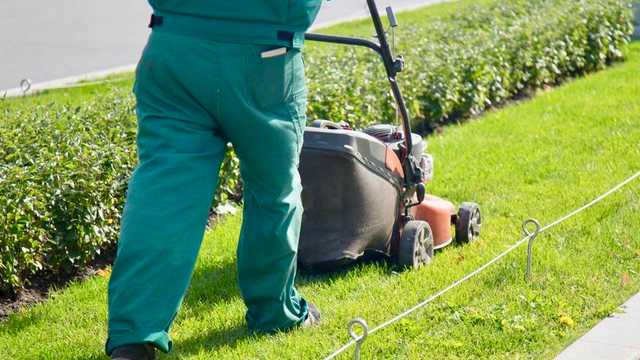 Jardinero con experiencia