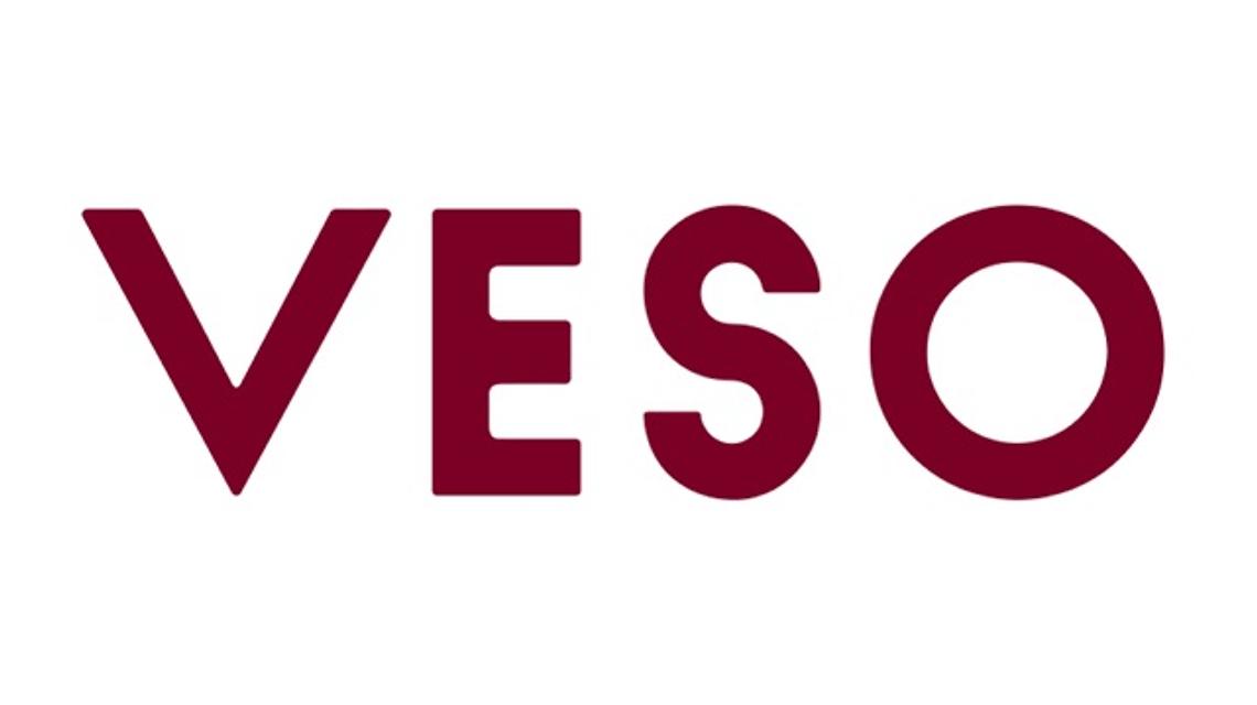 Veso Experience S.L  cover image