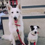 Jorge R. avatar icon