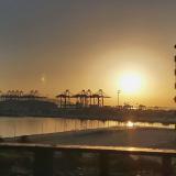 Fouad E. avatar icon