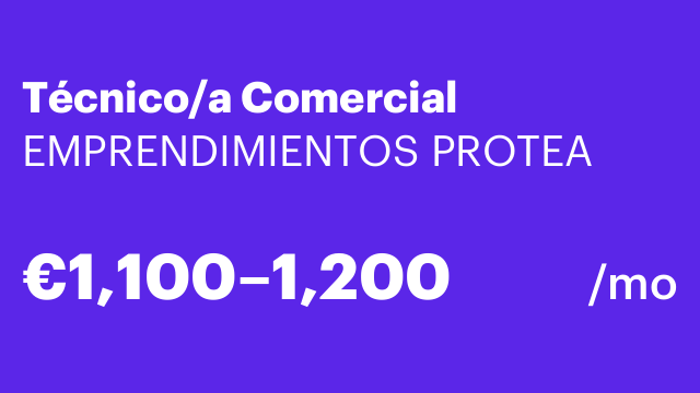 Técnico/a Comercial