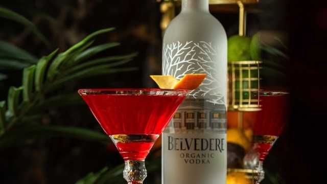 Bartender and Waiter / Waitress