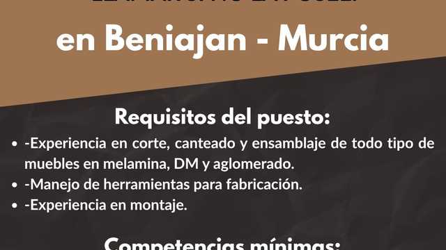 Carpintero/a de Madera