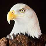 Kendall S. avatar icon