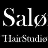 Saløn33 logo