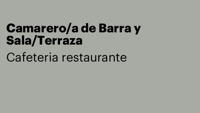 Camarero/a de Barra y Sala/Terraza