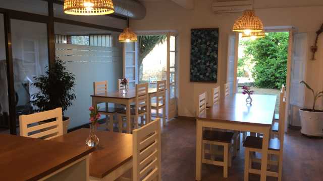 Ayudante/a de Cocina y Friegaplatos