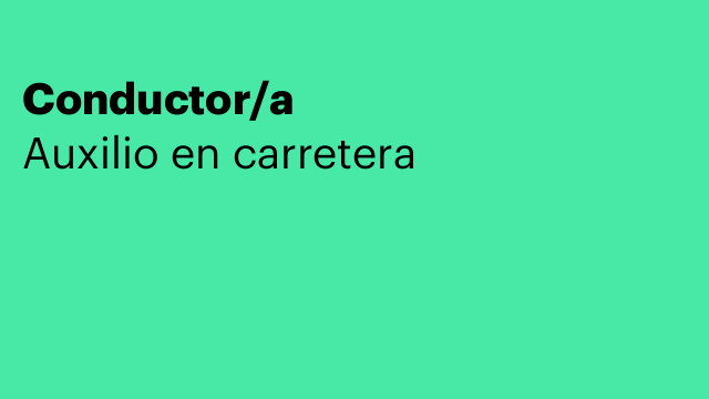 Conductor/a
