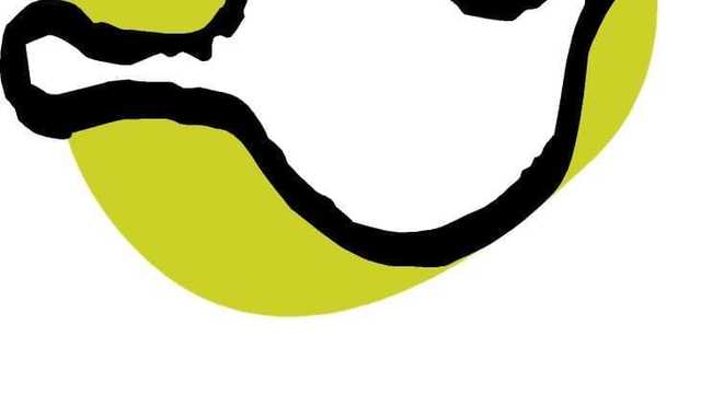 Captador/a Fondos ONG