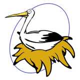 Casa N. avatar icon