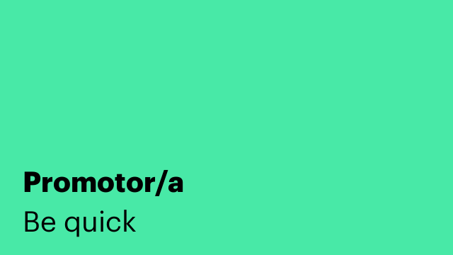 Promotor/a