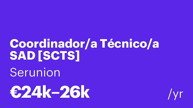 Coordinador/a Técnico/a SAD [SCTS]