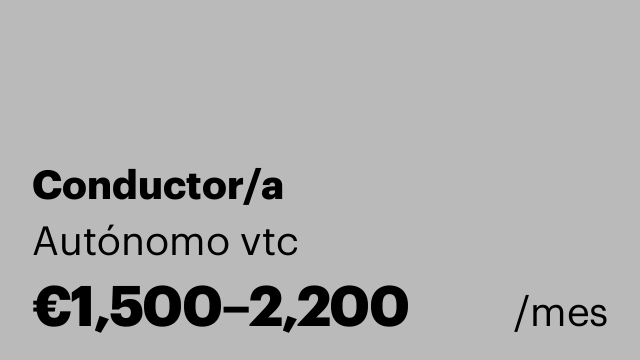 Conductor/a