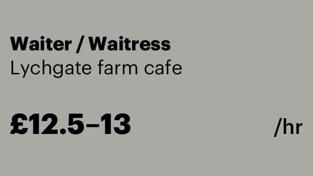 Waiter / Waitress