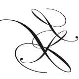 Sara Guillen Estilista logo