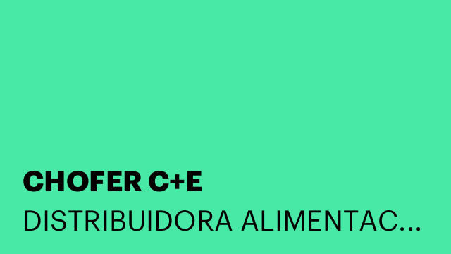 CHOFER C+E