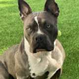 Carmen G. avatar icon