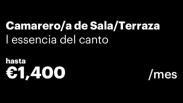 Camarero/a de Sala/Terraza