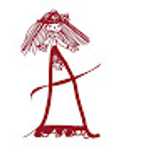 martina C. avatar icon