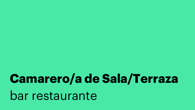 Camarero/a de Sala/Terraza