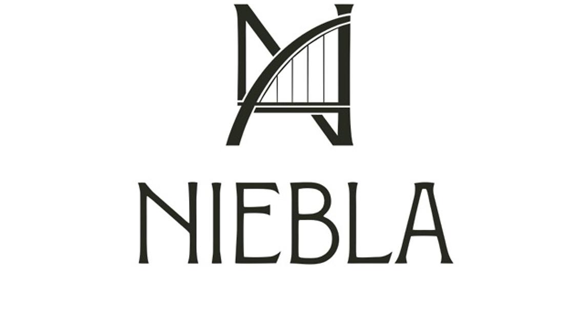 Niebla cover image