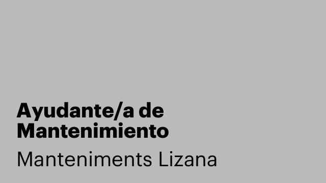 Ayudante/a de Mantenimiento