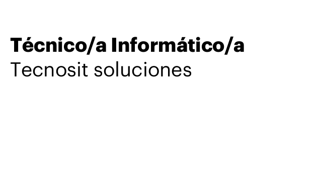 Técnico/a Informático/a