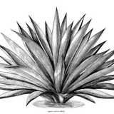 Alberto B. avatar icon