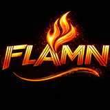 FLAMN LLC logo