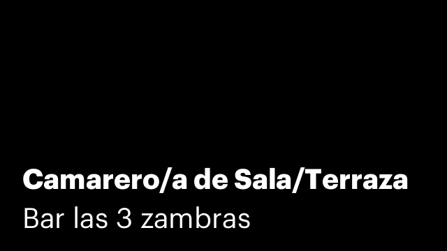 Camarero/a de Sala/Terraza