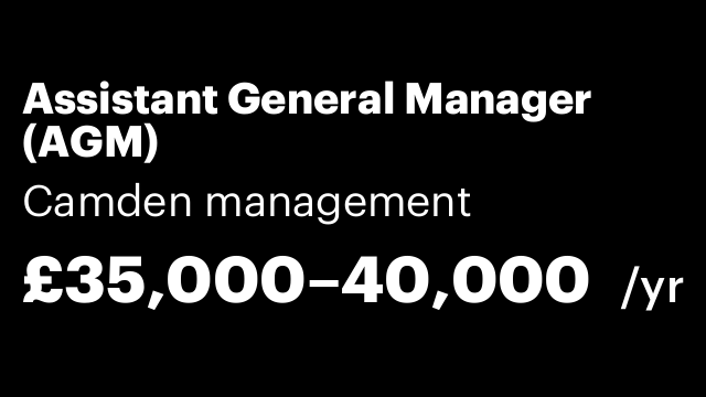 Assistant General Manager (AGM)