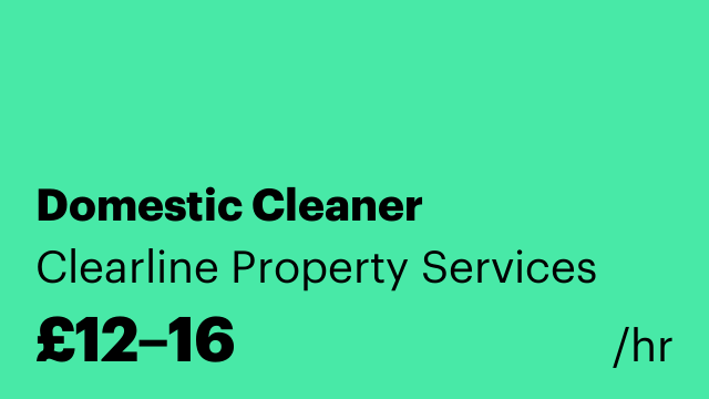 Domestic Cleaner
