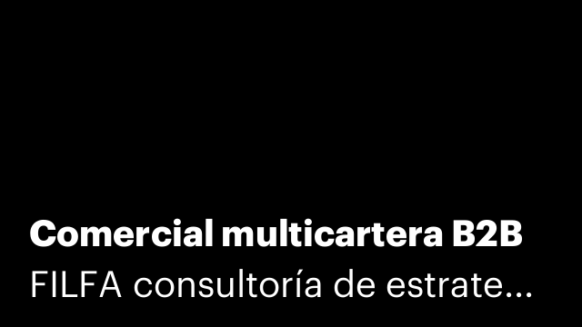 Comercial multicartera B2B