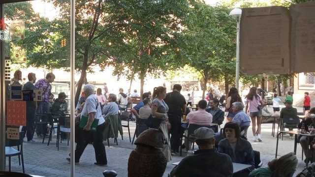 Camarero/a de Sala/Terraza