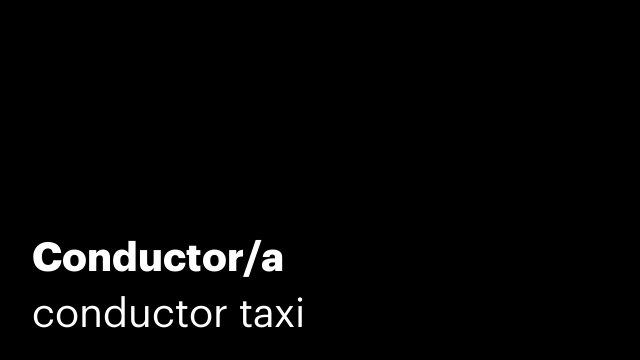 Conductor/a