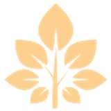 La H. avatar icon