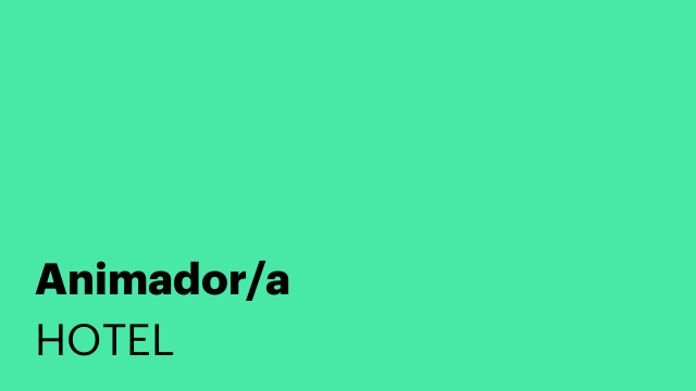 Animador/a