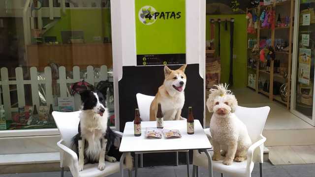 Peluquero canino