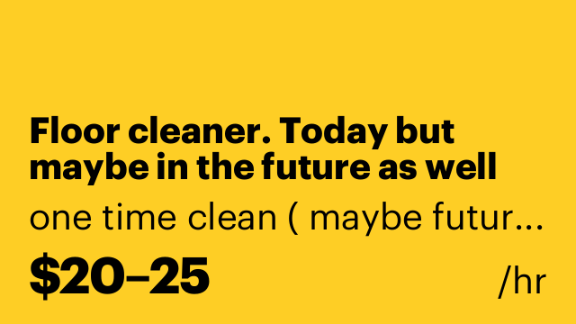 Floor cleaner. Today but maybe in the future as well