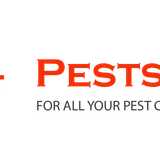 Pests R Us Ltd logo