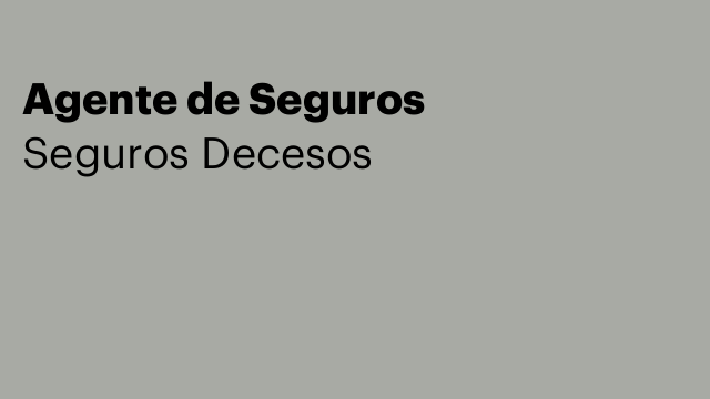 Agente de Seguros