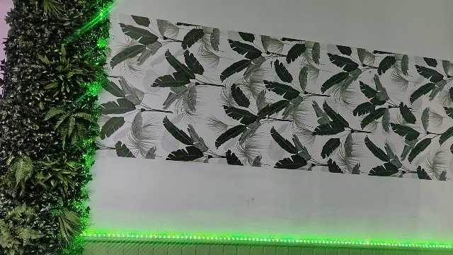 Ayudante/a de Cocina