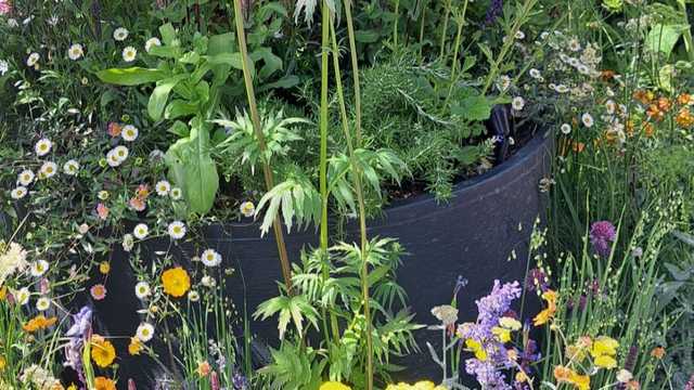 Landscape Gardener