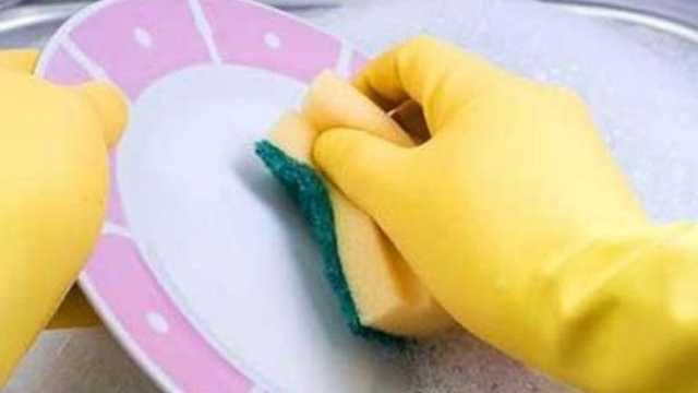 Friegaplatos y ayudante de camarero